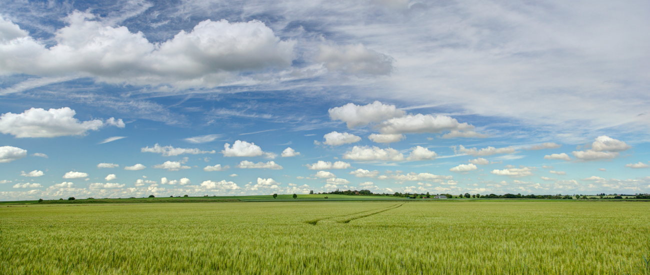 Gasway Service Area East Anglia Banner