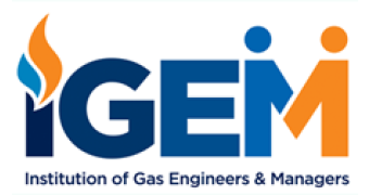 igem logo