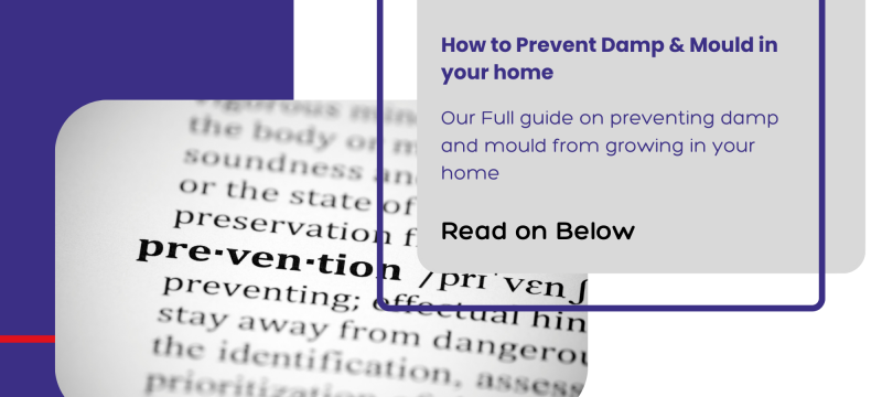 Preventing Damp and Mould In Your Home Cover